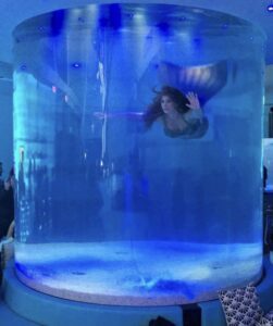 Mermaid Tank Hire